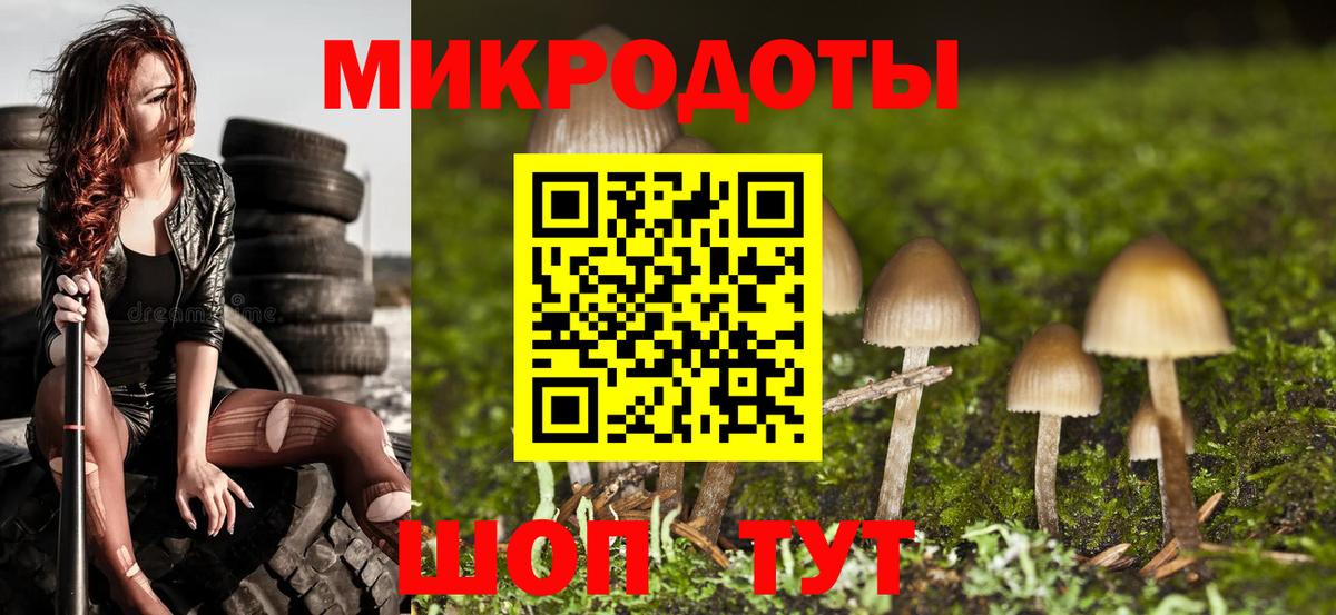 Псилоцибиновые грибы Cubensis Вологда