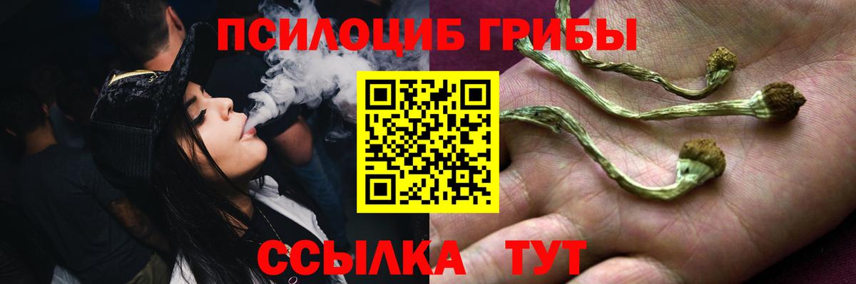 Вологда  где купить наркотик  Вход с VPN  Псилоцибиновые грибы мицелий 